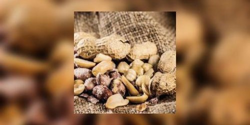 Allergie a la cacahuete : bientot une desensibilisation a l’arachide ?