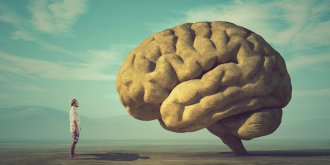 Cerveau : les humains ne sont pas adulte avant l'âge de 30 ans