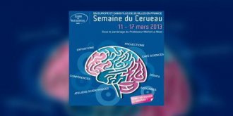 Semaine du cerveau : du 11 au 17 mars 2013