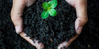 Alternative a l’inhumation : l-etat de Washington legalise le compost... humain !