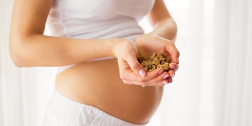 Grossesse : manger des aliments riches en omega 3 reduirait le risque d-une naissance prematuree