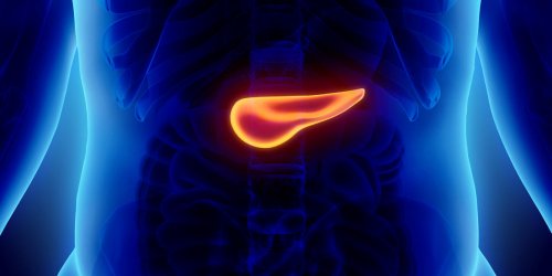Foie, pancréas, poumons : les cancers qui tuent de plus en plus de femmes