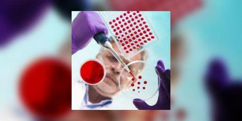 Virscan : une goutte de sang pour detecter toutes vos infections virales passees et presentes
