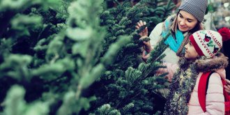 Allergie : attention, votre sapin de Noel peut vous rendre malade !