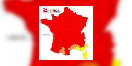 Pollens de graminees : alerte rouge en France