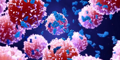 Cancer : comment le systeme immunitaire reagit
