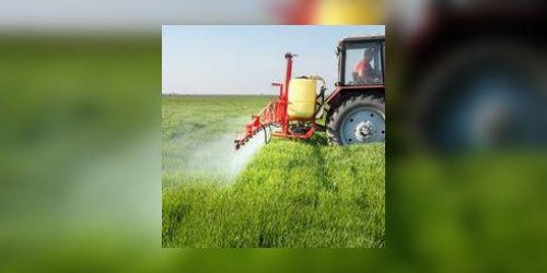 Des pesticides dans la poussiere de maisons rurales
