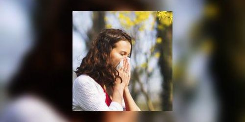 Allergiques aux pollens de bouleau : prenez votre traitement maintenant !