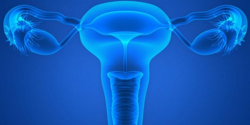 Cancer de l-ovaire : un test capable de le decouvrir avant qu-il ne soit a un stade avance