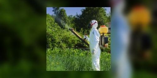 Cinq pesticides classes cancerigenes « probables », dont le glyphosate du Roundup