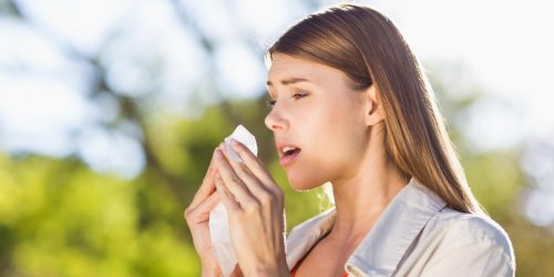 Alerte aux pollens : 6 conseils pour limiter les signes d-allergie