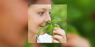 Des cancers démasqués par leur odeur !