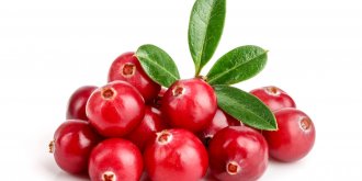 Cranberry et infections urinaires : oui, ca marche !