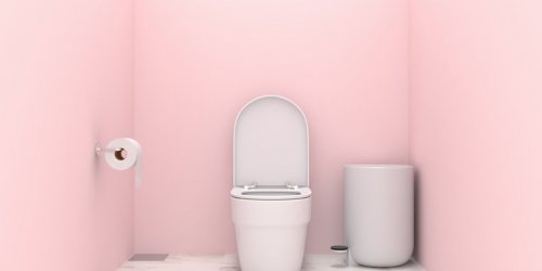 Honte d-aller aux WC : les 5 lieux qui bloquent les Francais