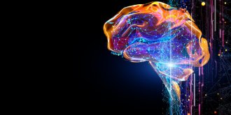 6 moyens de booster son cerveau, selon la science