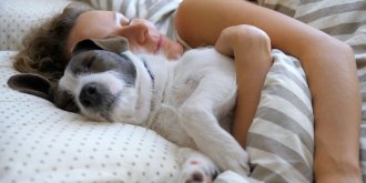 Dormir avec son chien : les 5 bonnes raisons de ceder