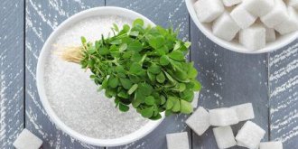 Diabete : les plantes hypoglycemiantes
