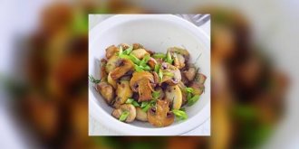 Regime champignons ou M-plan (mushroom plan)