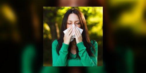 Allergies respiratoire
