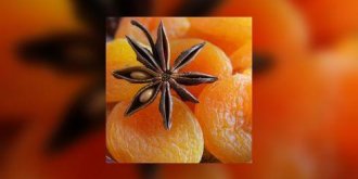 Abricots a la badiane