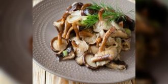 Wok de champignons