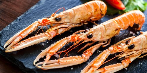 Dans votre assiette : homard, langouste et langoustines