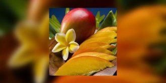 Emince de mangue a la reglisse