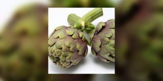 Comment préparer et cuire les fonds d'artichaut
