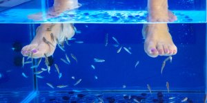 Fish Pedicure : on y va ou pas ?
