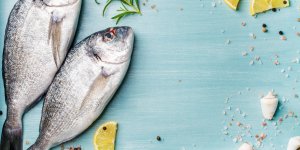 Trop de cholesterol : que faut-il manger ?
