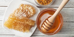 La propolis, antibiotique naturel