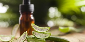 Quelles plantes pour reparer la peau ? 
