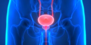 Prostatite et cancer de la prostate : existe-t-il un lien ?