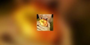 Croquez des pommes a pleines dents !