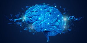Pilule contraceptive : elle reduirait cette zone du cerveau 