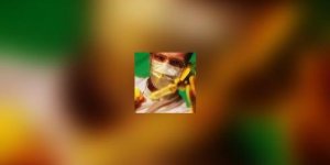 Avant une anesthesie signalez toute consommation de phytotherapie !
