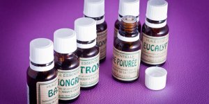 Cet hiver, respirez un air sain grace aux huiles essentielles !
