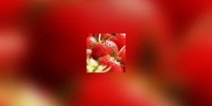 Dans votre assiette : les fraises