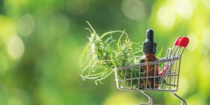 Bien-etre et expansion a l-international : le phenomene de la marketplace CBD