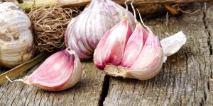 7 aliments a privilegier pour eviter de tomber malade