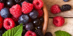 Quelles sont les vertus des antioxydants ? 