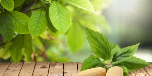 Quelles plantes contre le cholesterol ?