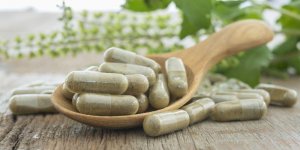 Konjac, nopal, fucus, vos plantes minceur !