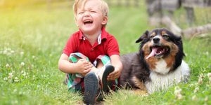 Que faire, mon enfant s-est fait mordre par un chien ?