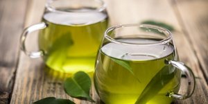 Mincir : les plantes, alliees de votre silhouette