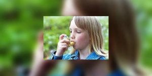 Allergie : alerte a l-ambroisie !