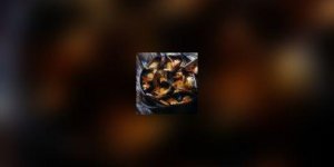 Dans votre assiette : les moules de bouchot
