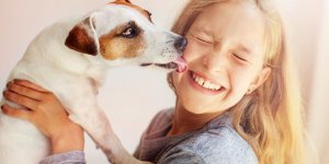 Enfant et chien font-il toujours bon menage ?