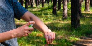 Les solutions naturelles contre les tiques et moustiques