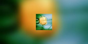 FIV (fecondation in vitro) : les naissances multiples diminuent